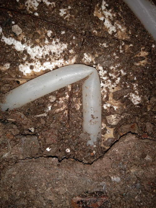 贵定堵点精准查找